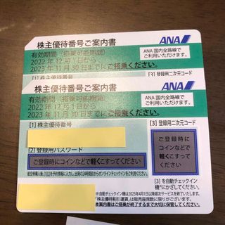 エーエヌエー(ゼンニッポンクウユ)(ANA(全日本空輸))の全日空　株主優待券2枚セット ANA(全日空)(航空券)