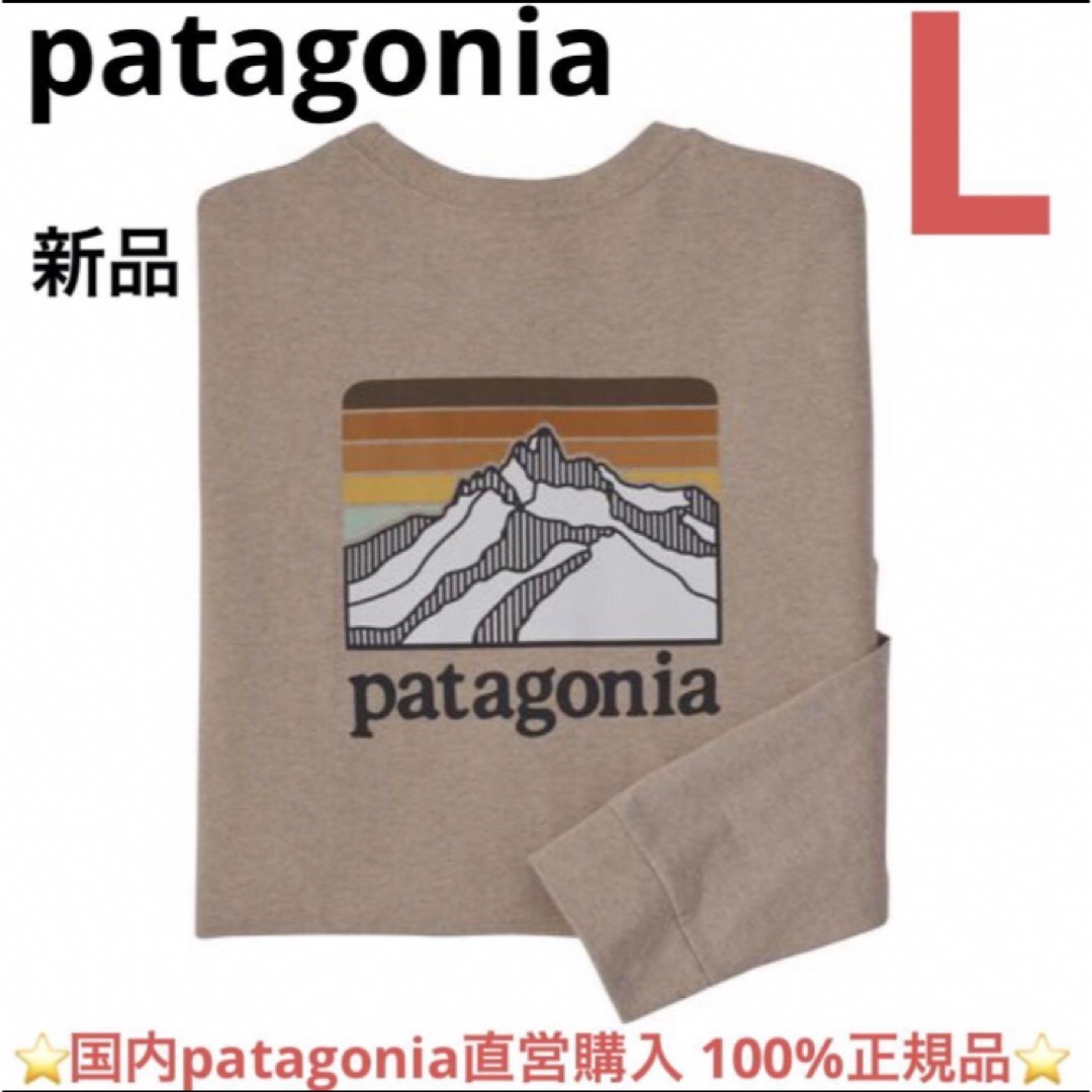 新品⭐️patagonia ラインロゴリッジレスポンシビリティー⭐️完売色