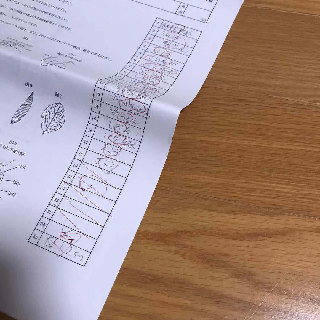 浜学園　小6 6年　男子最難関中　入試合格判定　7冠特訓  全3回　2022年 3