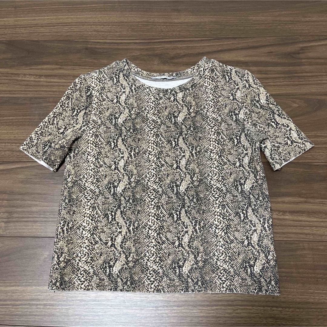 ZARA(ザラ)の最終値下げ　ZARA ザラ パイソン柄 Tシャツ メンズのトップス(Tシャツ/カットソー(半袖/袖なし))の商品写真