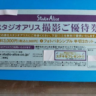 スタジオアリス ご優待券 撮影料 フォトパネシンプル　半切3カット(アルバム)