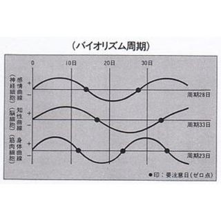 【ラストチャンス!今だけ値引きアリ!】政木式 バイオリズム計 赤 政木和三 新品