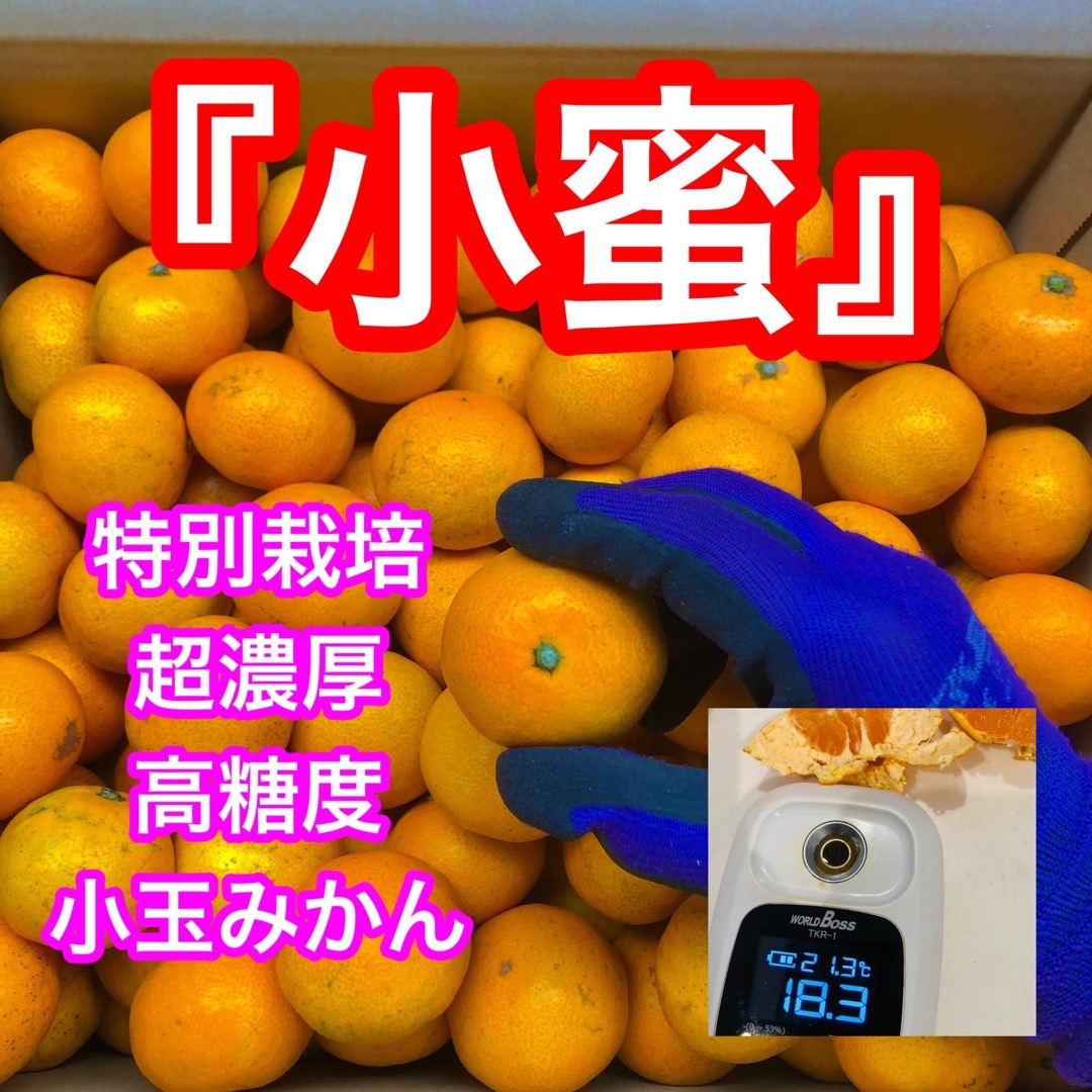 小蜜　衝撃の高糖度　あまい　超濃厚みかん　小玉　愛媛県産 食品/飲料/酒の食品(フルーツ)の商品写真