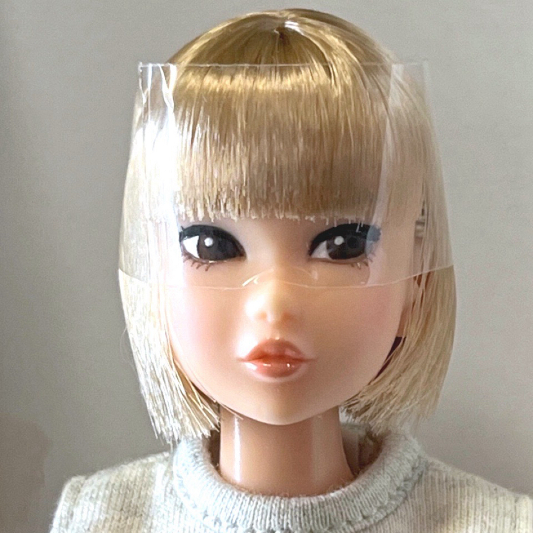 PetWORKS□Today's momoko 2304-