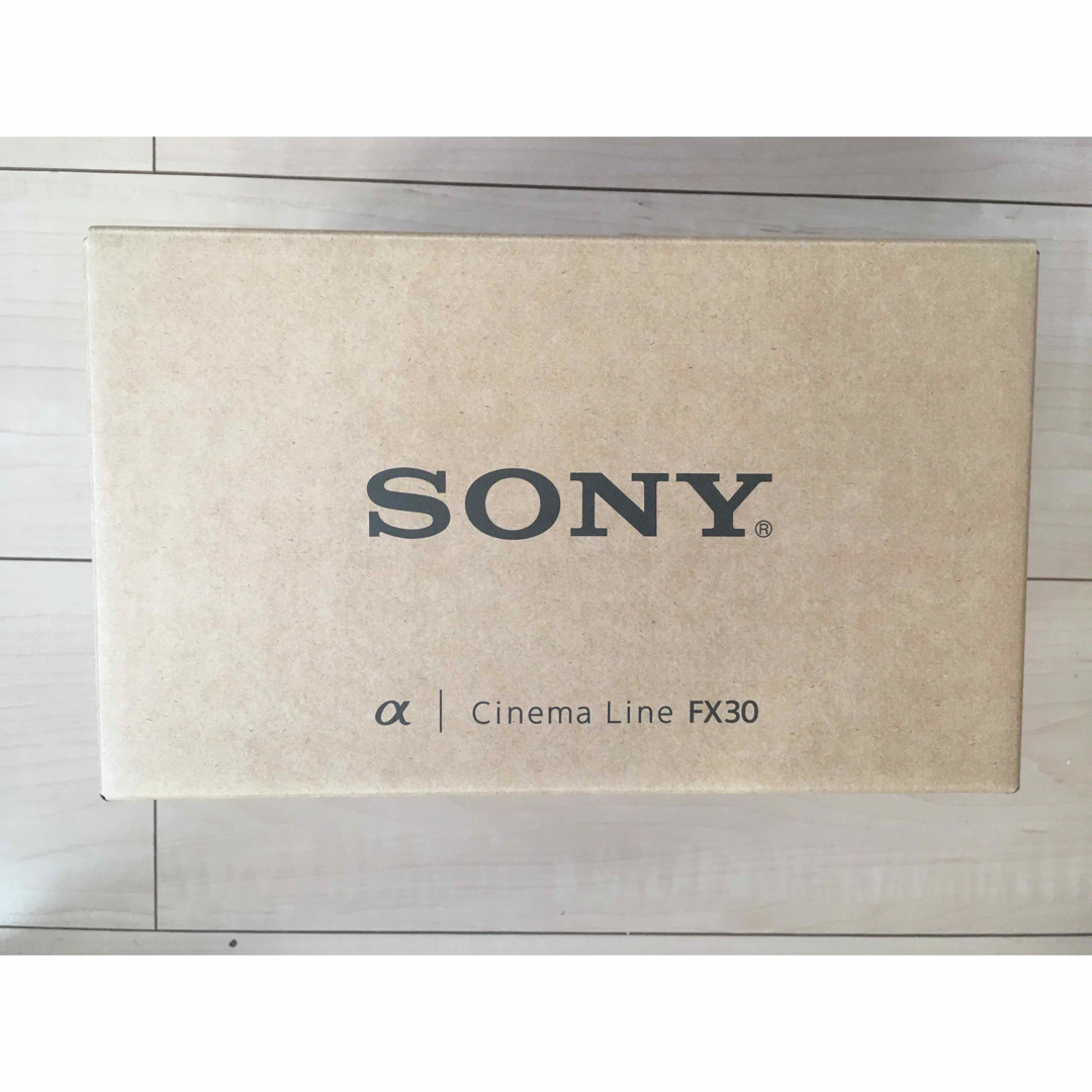 SONY　ソニー ILME-FX30B 2個セット