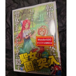 転生した大聖女は、聖女であることをひた隠す9(文学/小説)