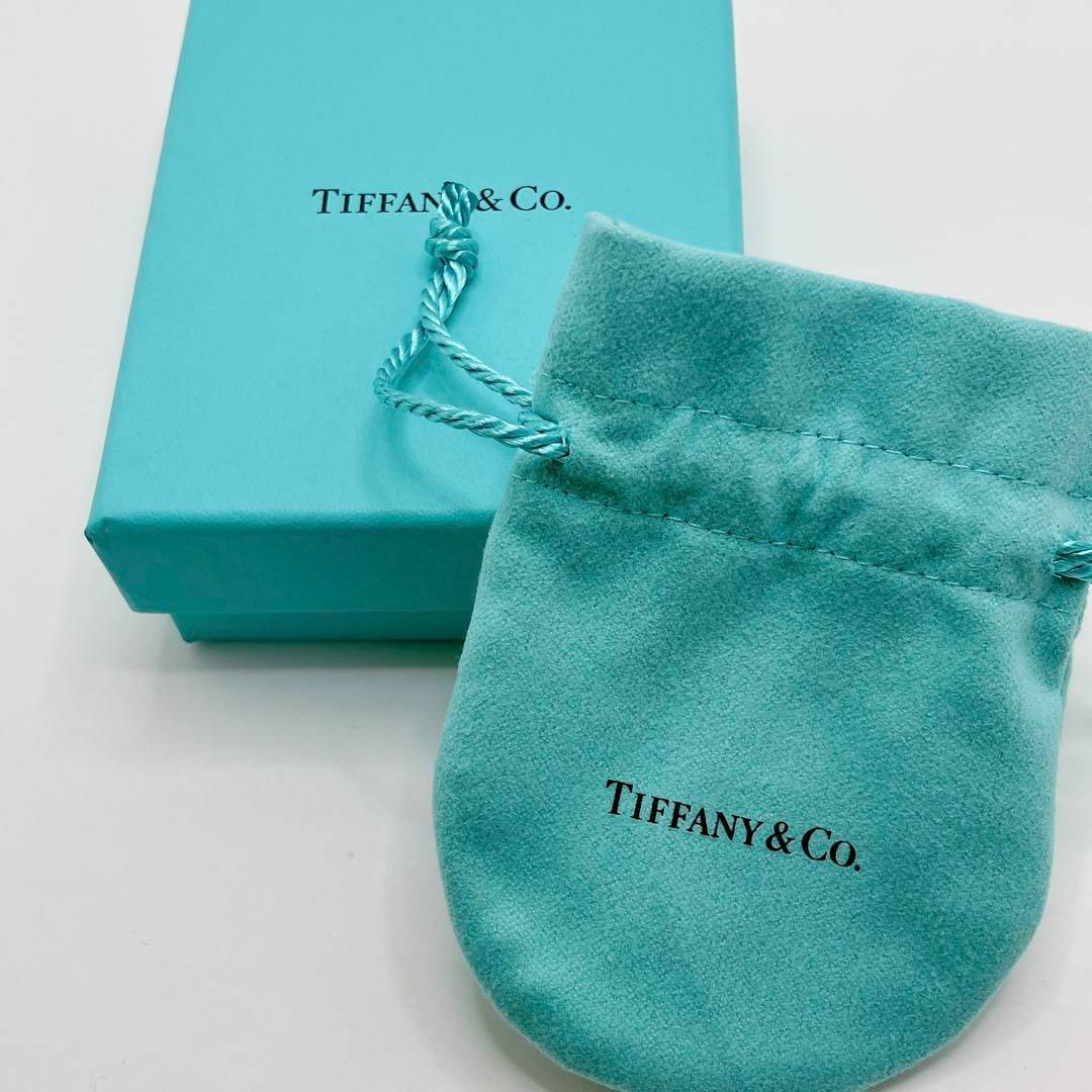 TIFFANY&Co. ティファニー ペーパーフラワー アクアマリン 4号 TIFFANY&Co. ティファニー ペーパーフラワー アクアマリン 4号
