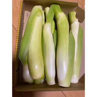 秋田産のマコモダケ　 南外マコモダケ　　800g＋甘くて美味しい(野菜)