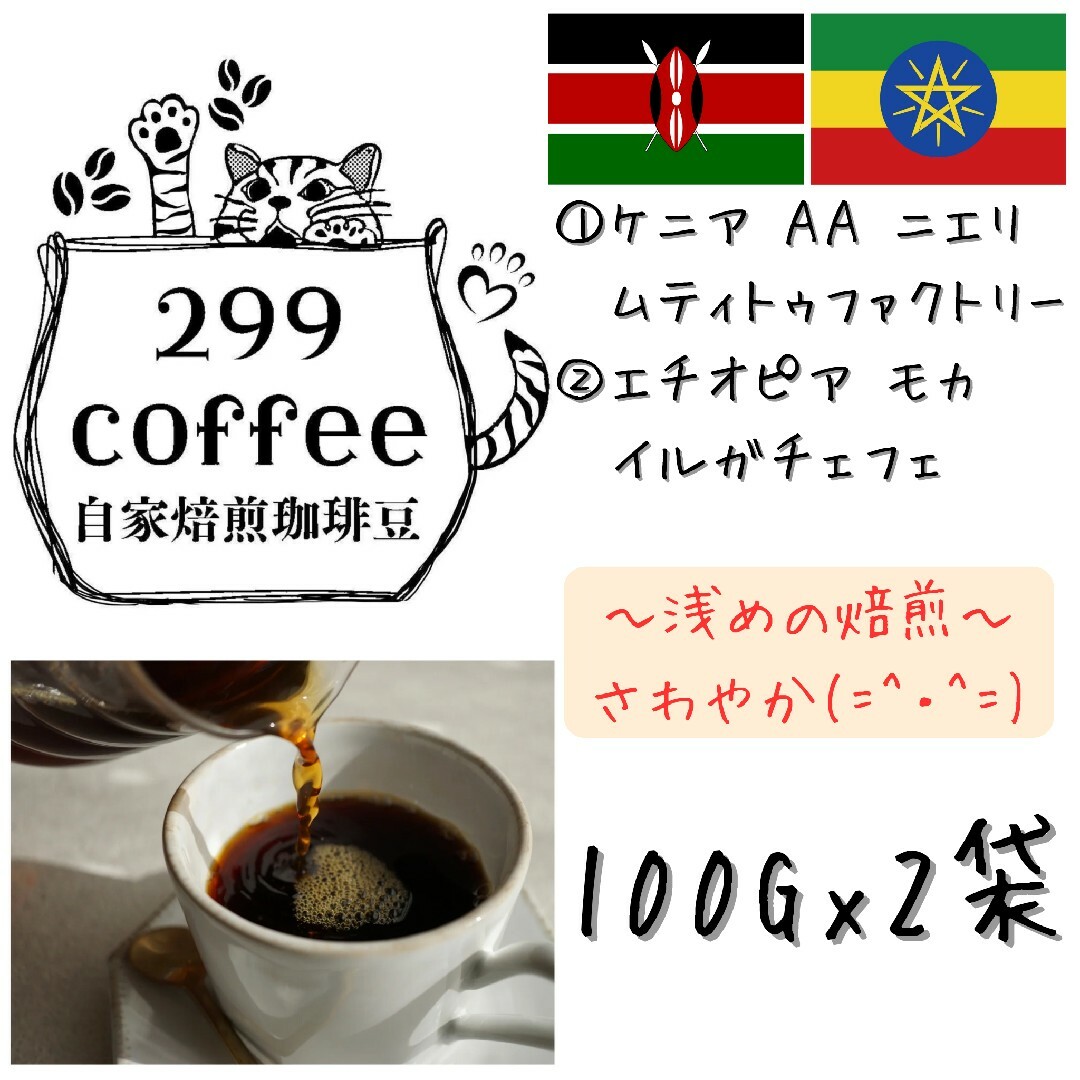 ケニア エチオピア 自家焙煎 コーヒー豆 珈琲豆 100gx2袋 合計200g