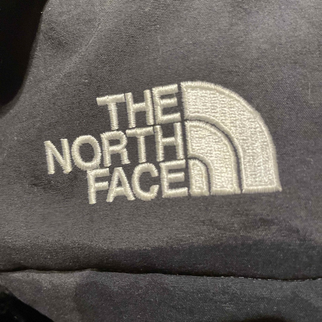 THE NORTH FACE(ザノースフェイス)のDenali Hoodie（デナリフーディー） メンズのジャケット/アウター(その他)の商品写真