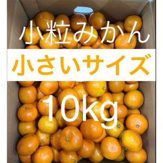 ❗️お試し価格今だけこのお値段❗️めっちゃ甘い 水晶文旦 13の通販