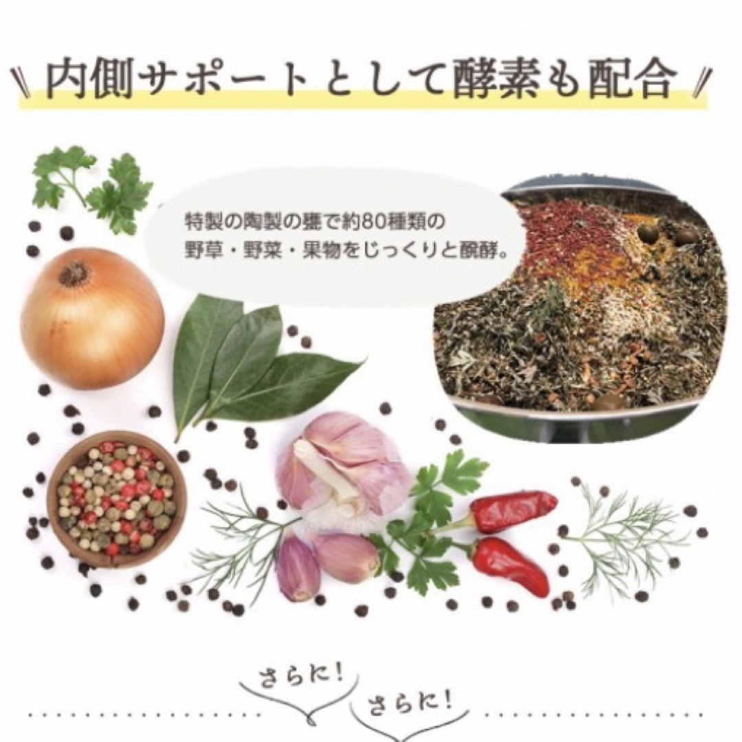 乳酸菌 サプリメント 約3ヵ月分 有胞子性乳酸菌 ソフトカプセル ダイエット 食品/飲料/酒の健康食品(その他)の商品写真