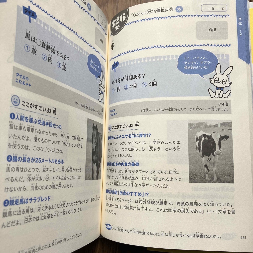 小学生なら知っておきたい教養３６６ １日１ページで身につく！ エンタメ/ホビーの本(その他)の商品写真