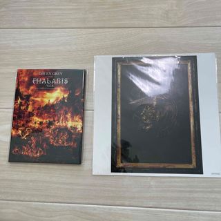 dir en grey 新作a knot初回限定Blu-ray PHALARIS(ミュージック)