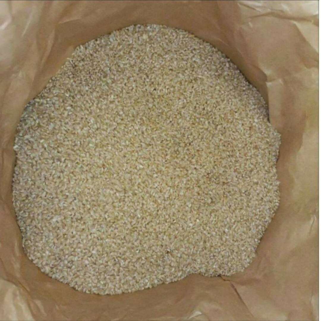 令和5年　新米　キヌヒカリ　農薬不使用　玄米10キロ 2