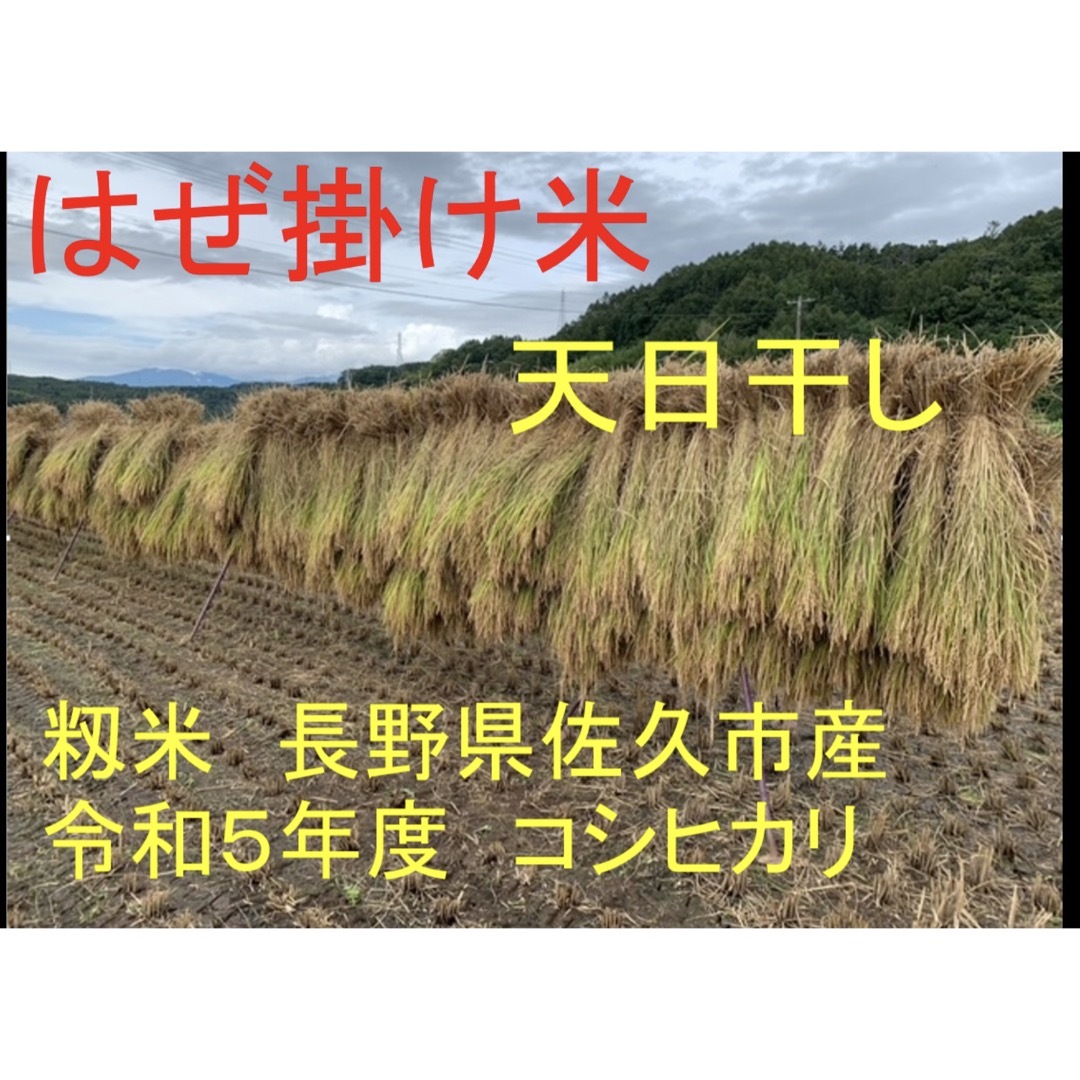 平成歌謡スペシャル 新米 はぜ掛け米 天日干し 長野県佐久市産