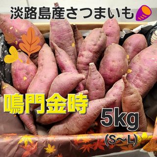 淡路島産さつまいも🍠鳴門金時(S～Lサイズ)5kg(野菜)