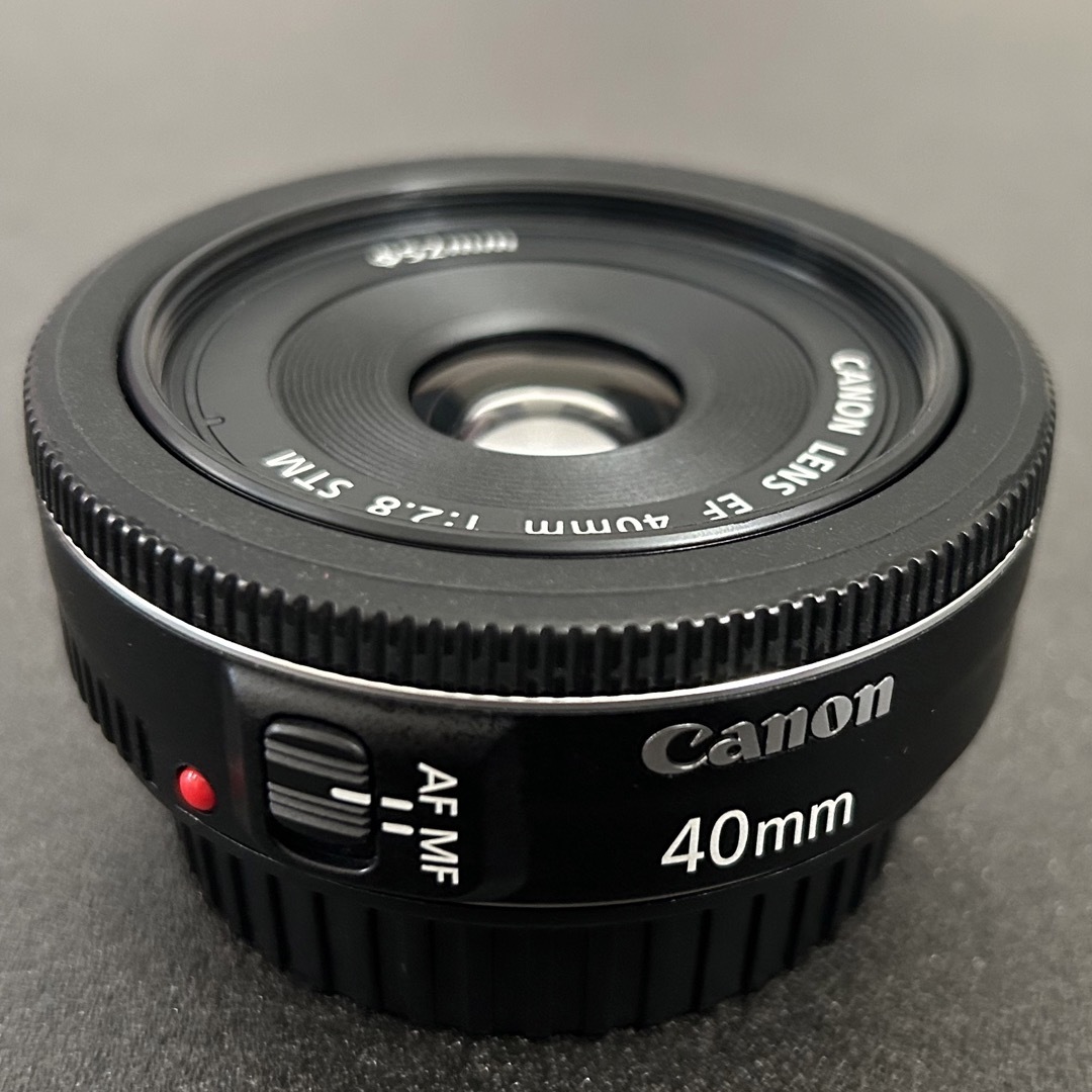 オカヤドカリ Canon レンズ EF40F2.8 STM | www.surrpaws.sg