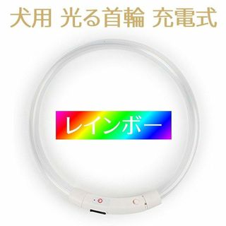 犬用 光る首輪 充電式 散歩 アウトレット レインボー //b6m(犬)