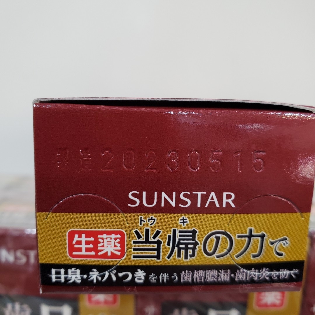 生薬　当帰の力　85g×10本セット　SUNSTAR 薬用塩歯磨き 2