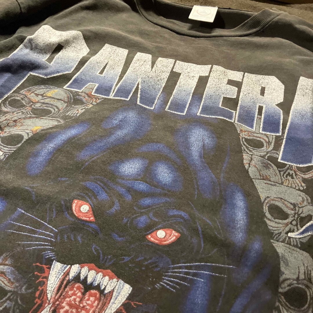 STUSSY(ステューシー)の希少　90s vintage PANTERA ロンtee バンTee メンズのトップス(Tシャツ/カットソー(七分/長袖))の商品写真