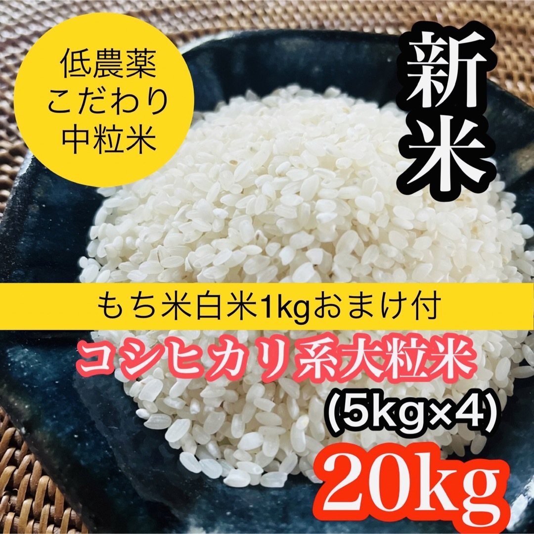 令和元年産！　山形県産【はえぬき】白米２０ｋｇ中粒米米/穀物