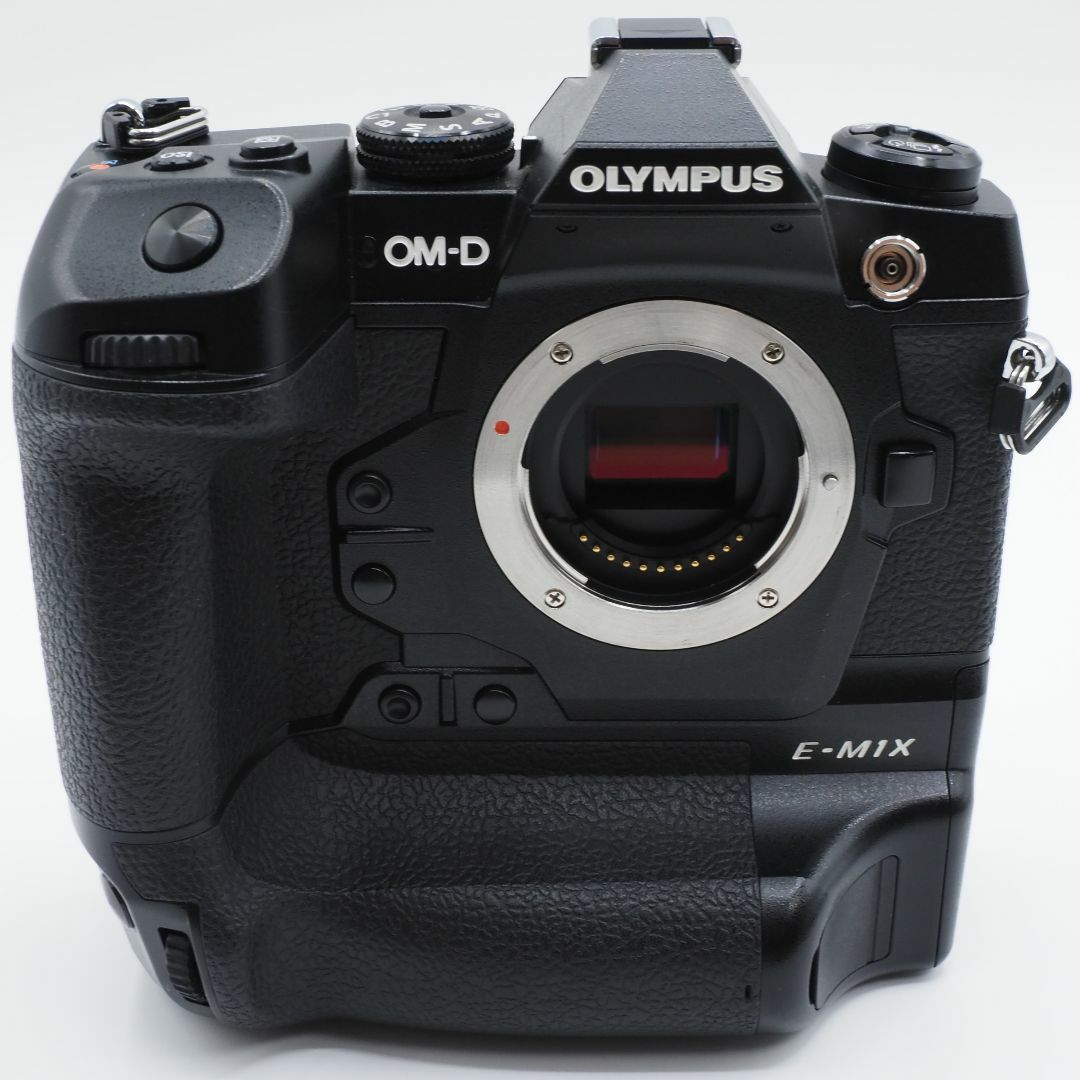 ★ショット数29,120回の極上品★ OLYMPUS OM-D E-M1X