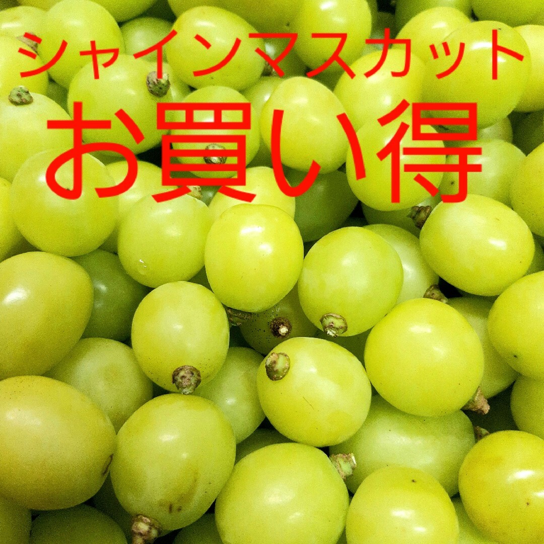 シャインマスカット粒限定特売品になります。の通販 by 信濃のトラ's