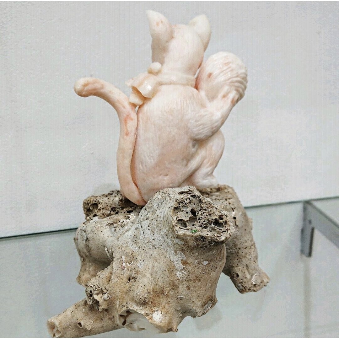 白サンゴの彫り物(ネコ)