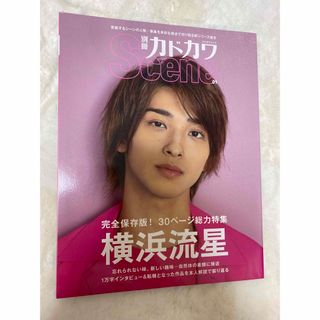 カドカワショテン(角川書店)の別冊カドカワscene(男性タレント)