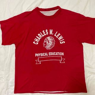 チャンピオン(Champion)のビンテージ ダブルフェイス Tシャツ インディアン(Tシャツ/カットソー(半袖/袖なし))