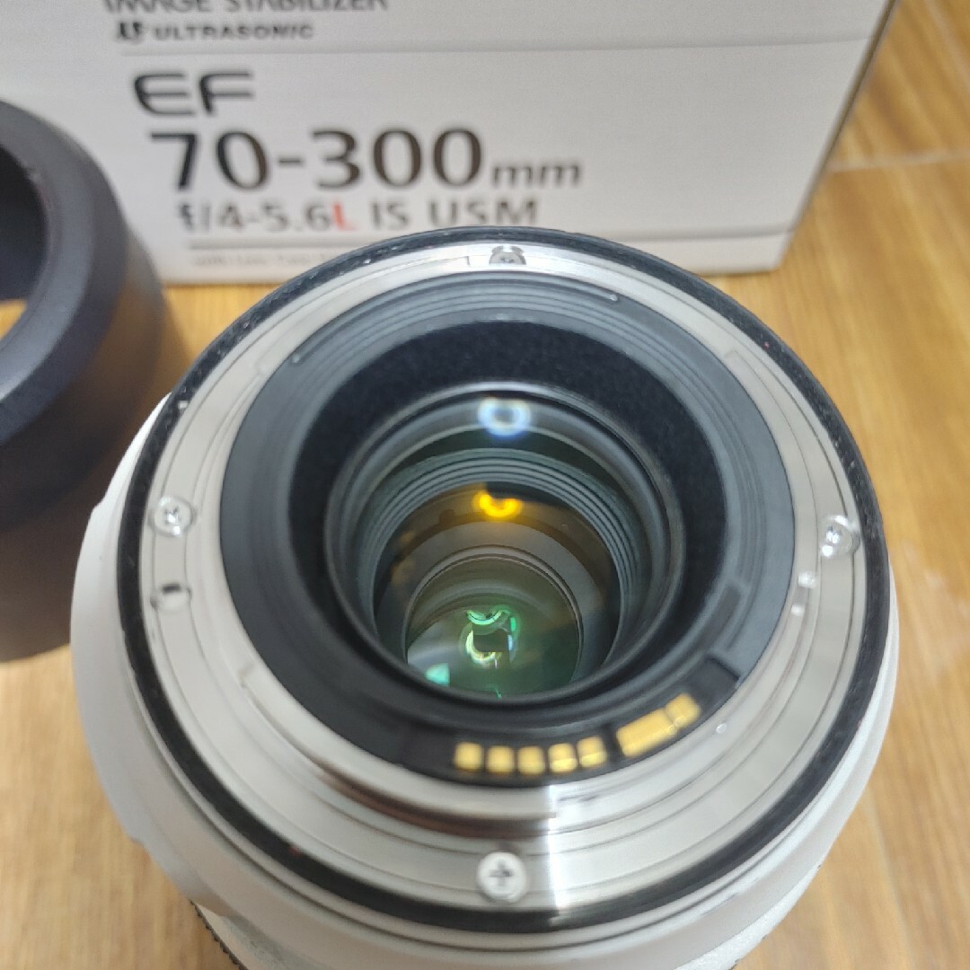 Canon EFレンズ EF70-300mm F4-5.6L IS USM