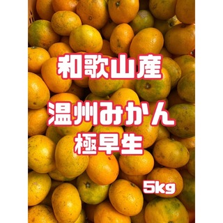 ⭐︎和歌山産⭐︎ 温州みかん 5kg 訳あり　極早生　みかん　柑橘類(フルーツ)