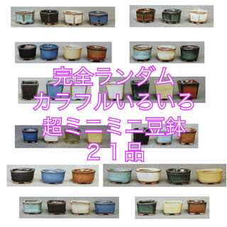【お得】カラフル いろいろ超ミニミニ豆鉢21品セット(陶芸)