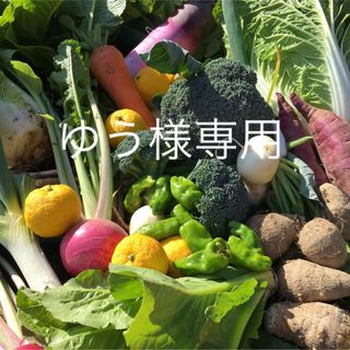 ゆう様専用　採れたて新鮮野菜詰め合わせ　80サイズ (野菜)