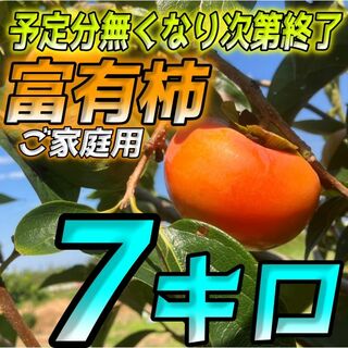 とってもあま～い完全甘柿!!『岐阜県産のご家庭用富有柿』7キロ(フルーツ)