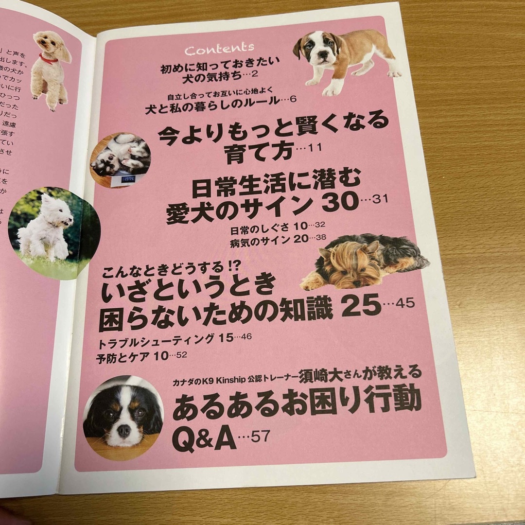 宝島社(タカラジマシャ)の愛犬が今よりもっと賢くなる育て方　知って得する！知恵袋BOOKS その他のペット用品(犬)の商品写真