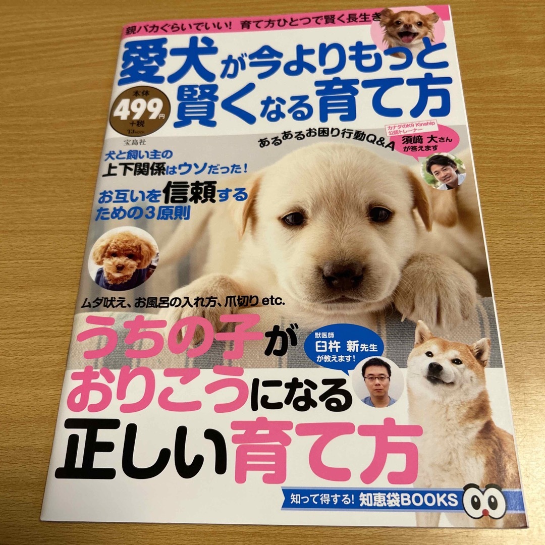 宝島社(タカラジマシャ)の愛犬が今よりもっと賢くなる育て方　知って得する！知恵袋BOOKS その他のペット用品(犬)の商品写真