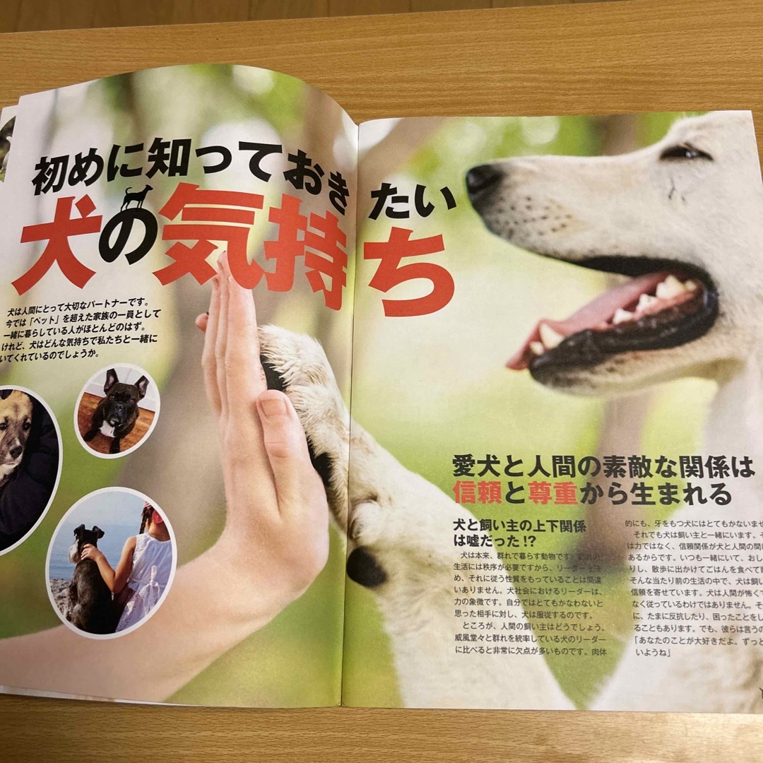 宝島社(タカラジマシャ)の愛犬が今よりもっと賢くなる育て方　知って得する！知恵袋BOOKS その他のペット用品(犬)の商品写真