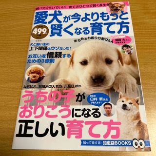 タカラジマシャ(宝島社)の愛犬が今よりもっと賢くなる育て方　知って得する！知恵袋BOOKS(犬)