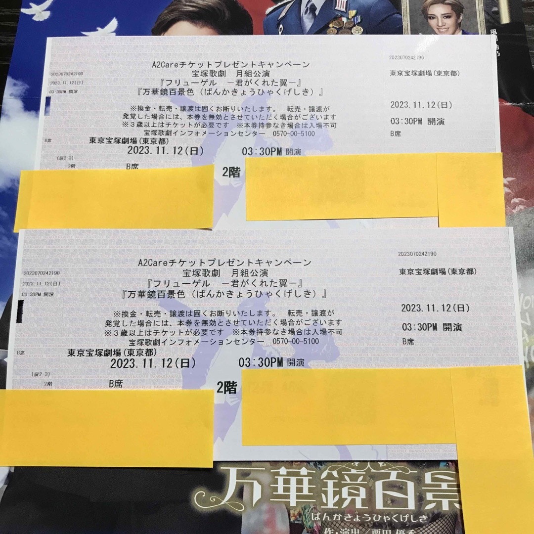 宝塚歌劇 月組公演 チケット