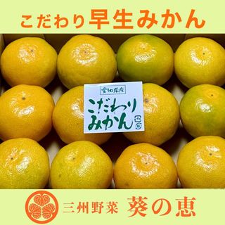 ❗️お試し価格今だけこのお値段❗️めっちゃ甘い 水晶文旦 13の通販