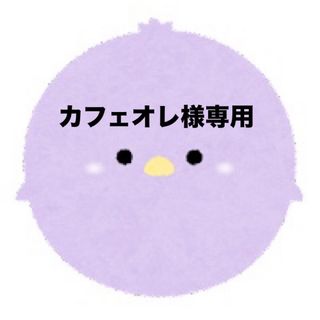 カフェオレ様専用アパコート36本×2ケースの通販|ラクマ