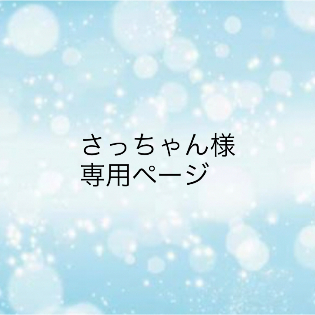 さっちゃん様専用 ハンドメイドのハンドメイド その他(その他)の商品写真