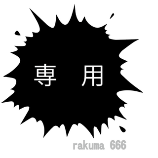 キム様　専用(その他)