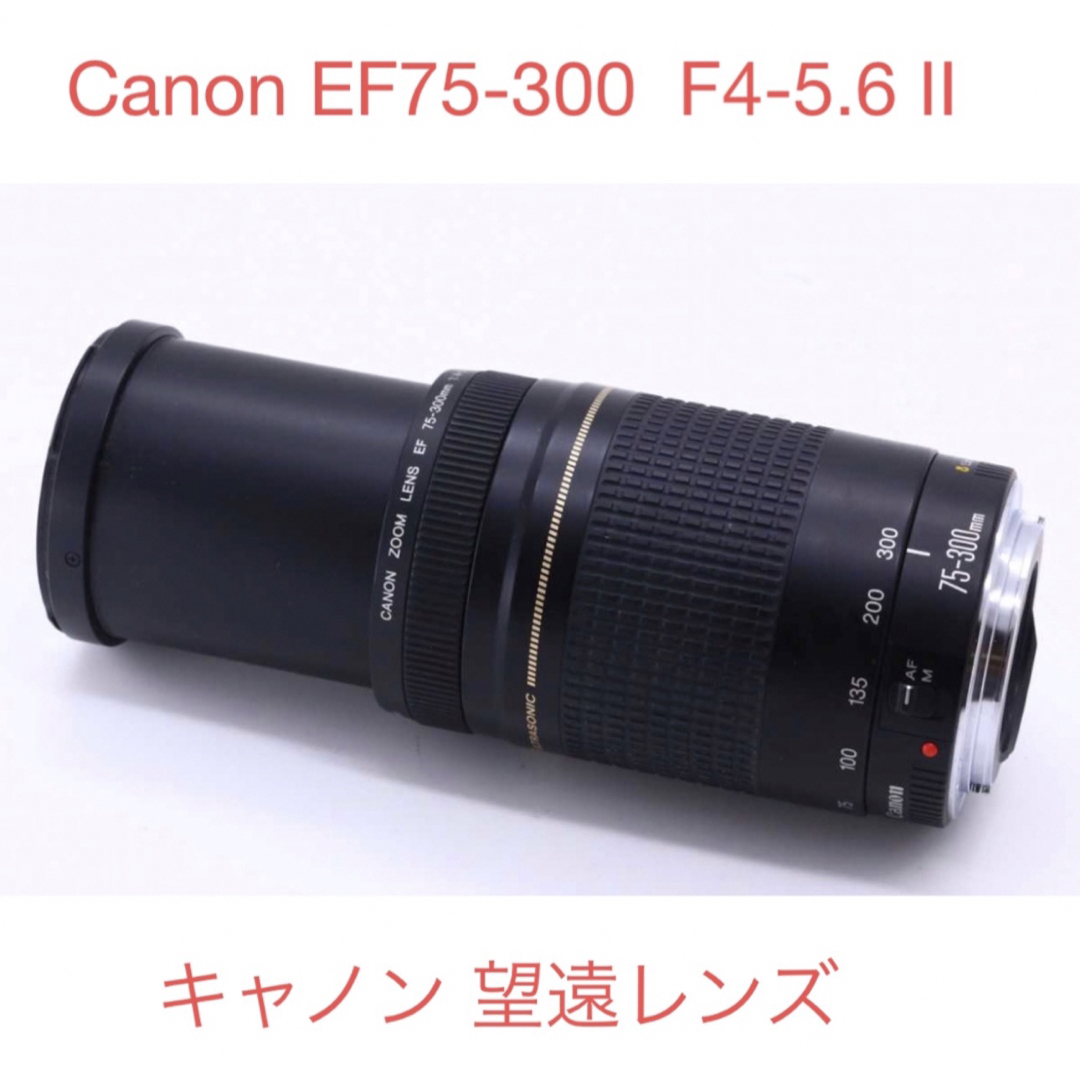 キャノン☆超望遠レンズ☆Canon EF75-300 F4-5.6 II-