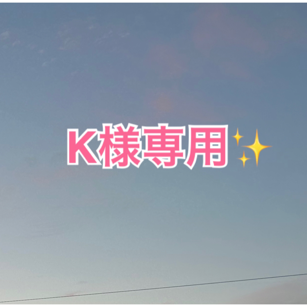K様専用ページになります✨の通販 by ふな's shop|ラクマ