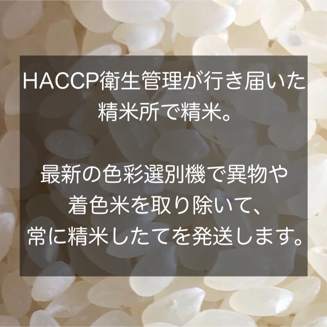 【令和5年産】長野県コシヒカリ20キロ白米白米