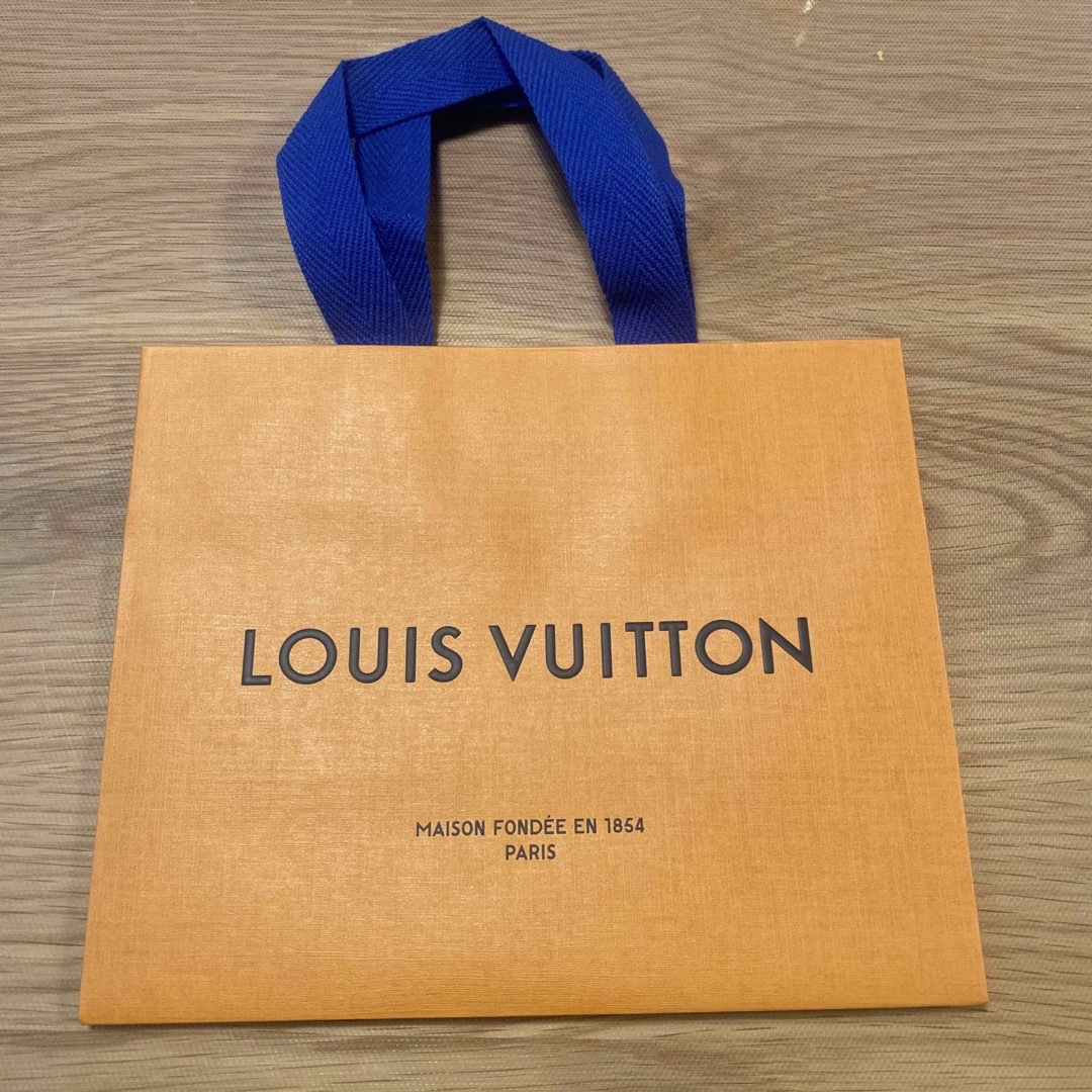 LOUIS VUITTON(ルイヴィトン)の【新品未使用】ルイビトン louis vuitton ショッパー レディースのバッグ(ショップ袋)の商品写真