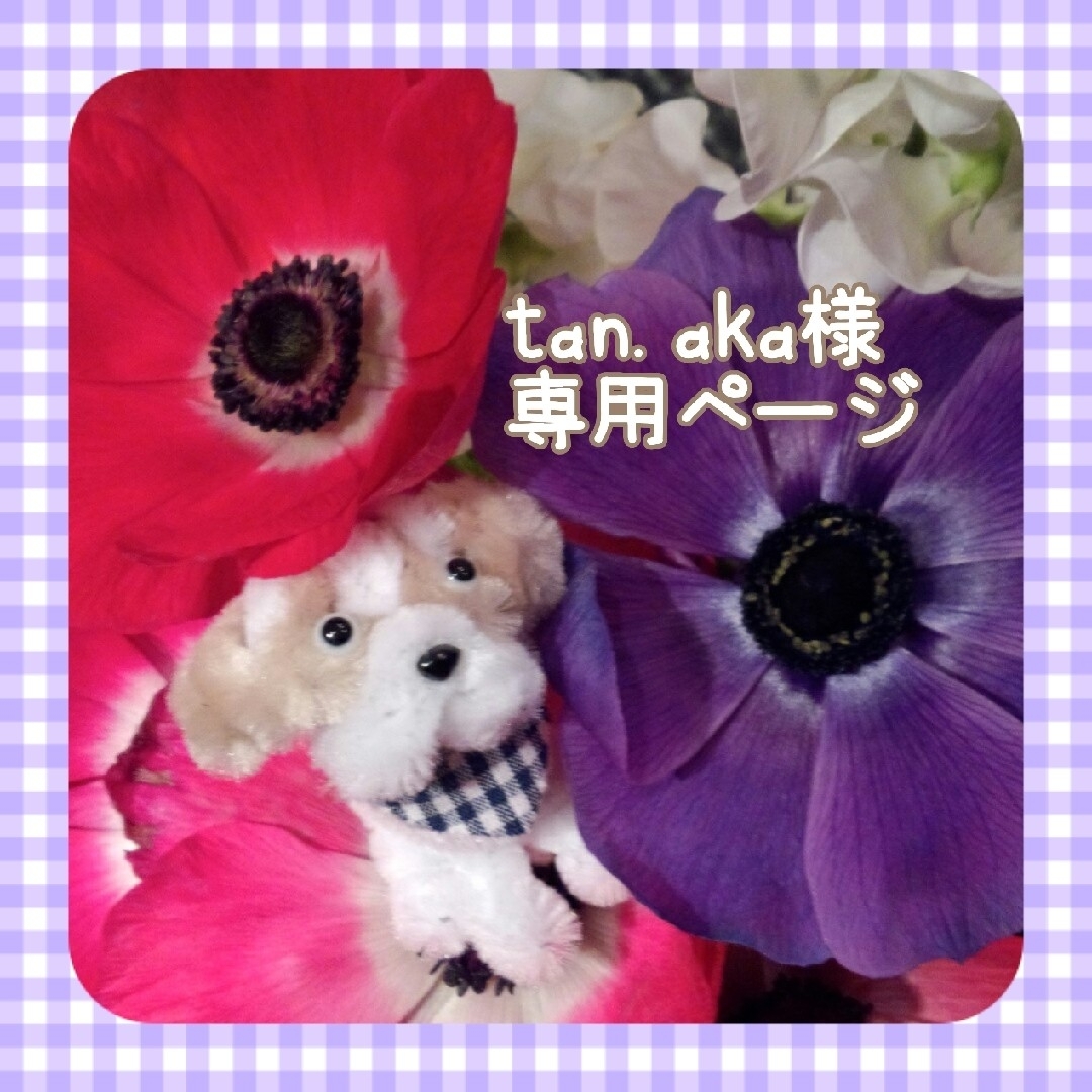 tan.aka様*専用の通販 by ruri*|ラクマ